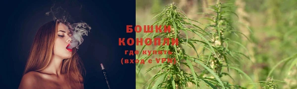 прущая мука Мегион