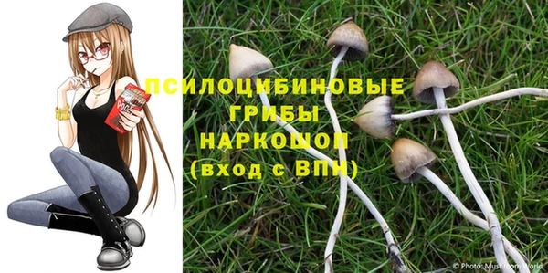 стафф Медногорск