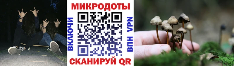 Псилоцибиновые грибы Cubensis  купить наркотик  Лебедянь 